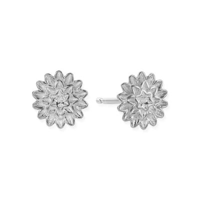 Women Jewellery ChloBo  | Botanical Beauty Stud Earrings